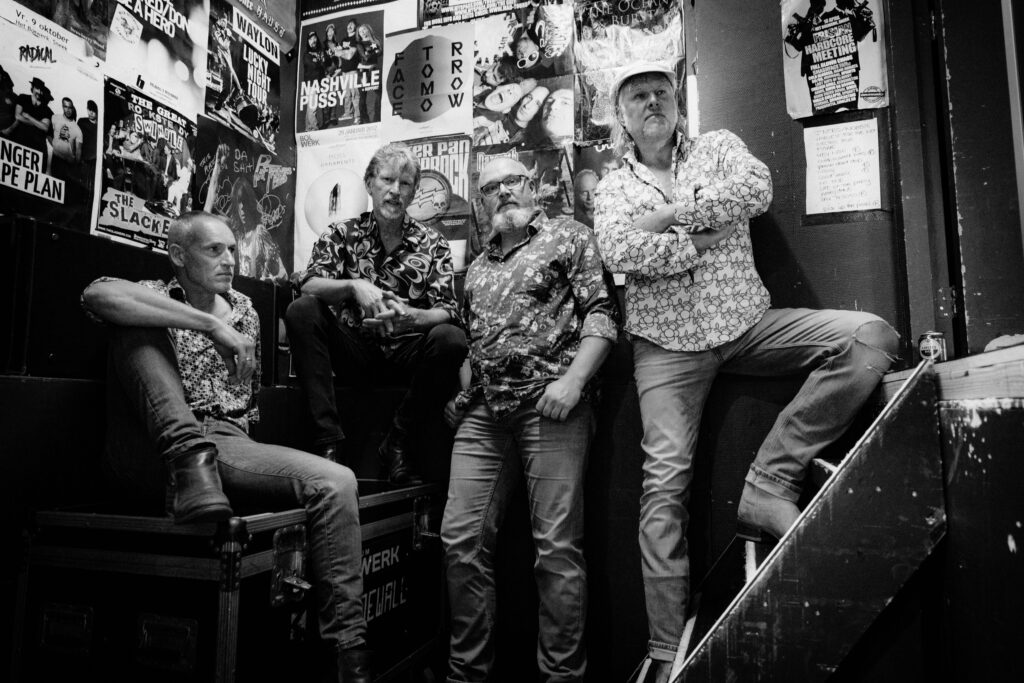 Band foto The Susie Q's